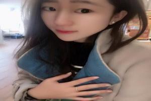 电脑上有正版宝可梦吗：